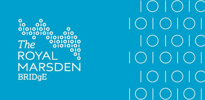 BRIDgE website header image
