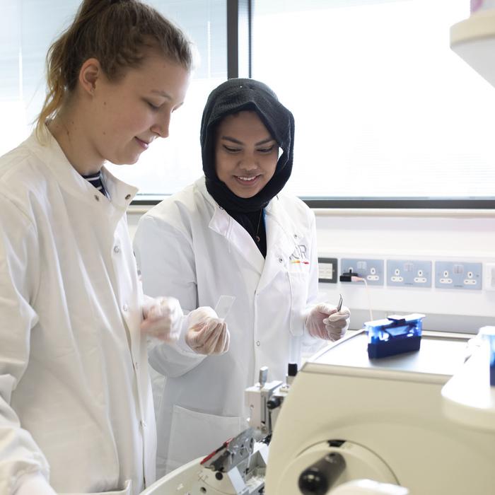 Dipa Begum & Susie Riisnaes prepare a tissue sample in the lab